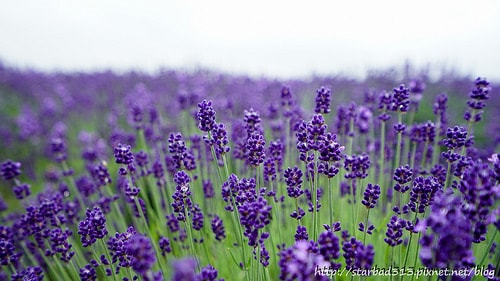 20251013-d1134 20251013-d1134