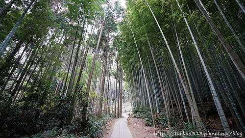 20251013-doiep 20251013-doiep