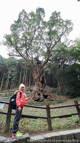 20251013-h5i1i 20251013-h5i1i