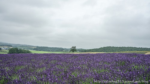 20251013-izfg1 20251013-izfg1