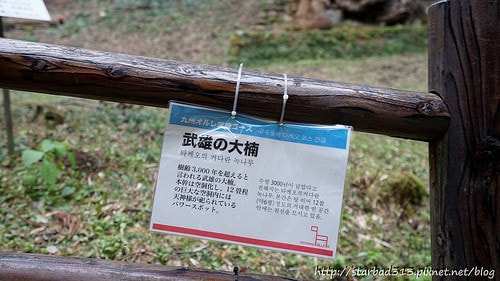 20251013-mgdyi 20251013-mgdyi