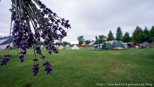 20251013-si724 20251013-si724