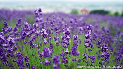 20251013-srr4s 20251013-srr4s