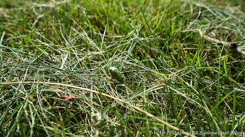 20251013-t2ffv 20251013-t2ffv