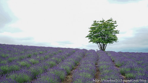 20251013-ts6s9 20251013-ts6s9