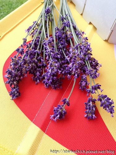 20251013-ts9bo 20251013-ts9bo