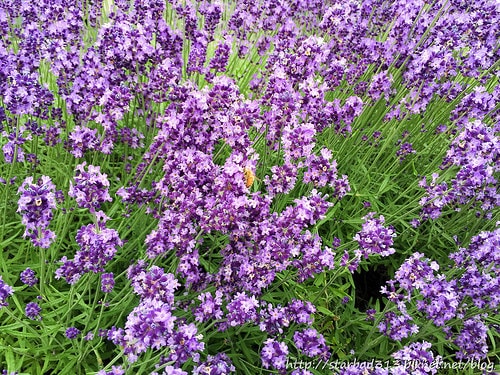 20251013-v4kiu 20251013-v4kiu