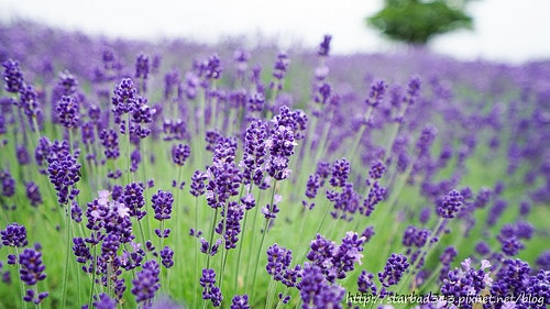 20251013-vyg7x 20251013-vyg7x