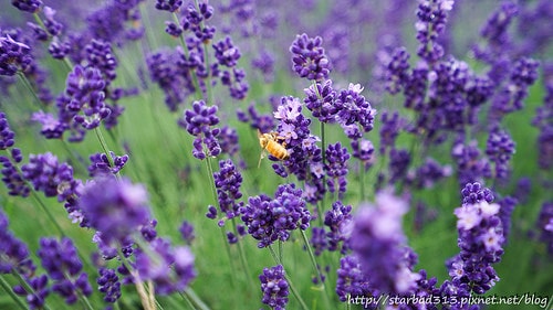 20251013-xpzvp 20251013-xpzvp