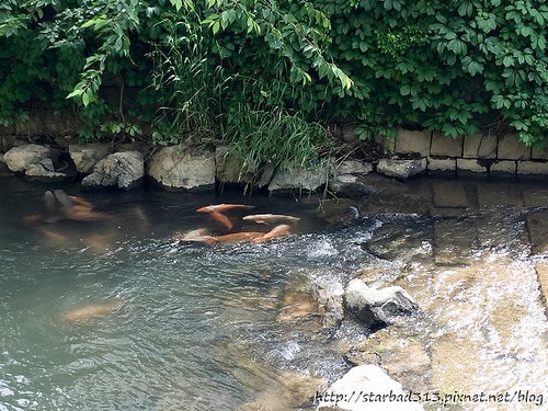 20251013-y37qj 20251013-y37qj