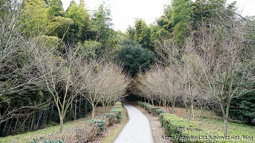 20251013-zfnqy 20251013-zfnqy