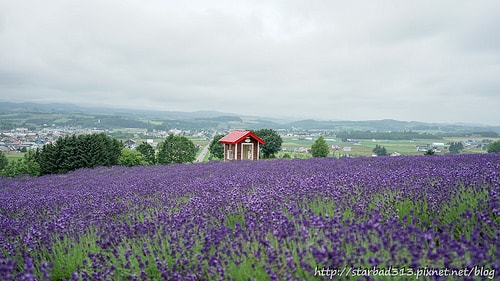 20251013-ztu5t 20251013-ztu5t