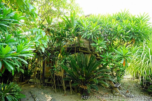 20251013-2c7lq 20251013-2c7lq