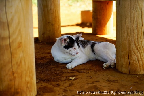 20251013-99s4w 20251013-99s4w