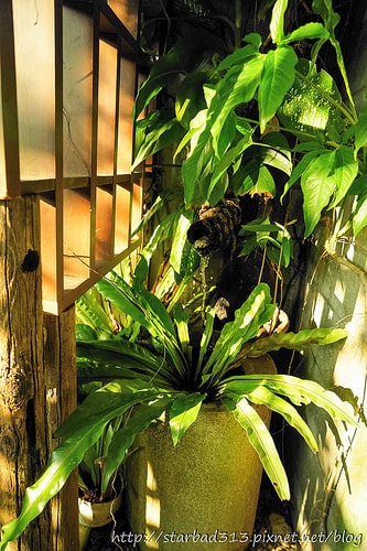 20251013-ie66s 20251013-ie66s