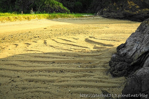 20251013-w21uo 20251013-w21uo