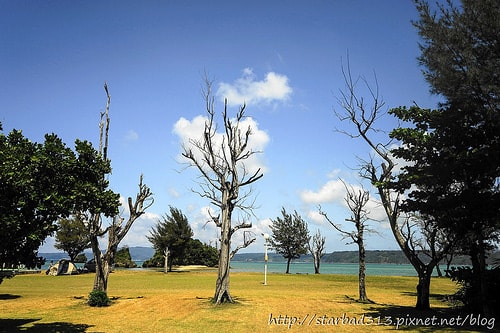 20251013-zyhh9 20251013-zyhh9