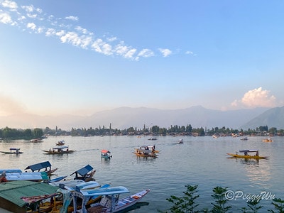 20251013-02ytc 20251013-02ytc