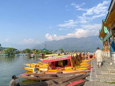 20251013-7ox9k 20251013-7ox9k