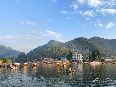 20251013-8c2zg 20251013-8c2zg