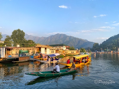 20251013-c39sr 20251013-c39sr