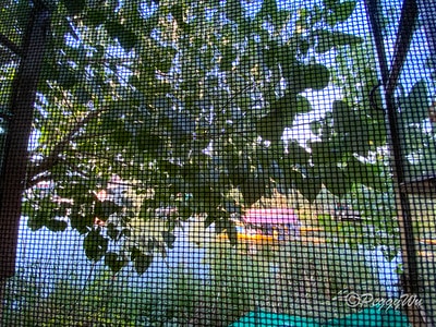 20251013-kz1vj 20251013-kz1vj