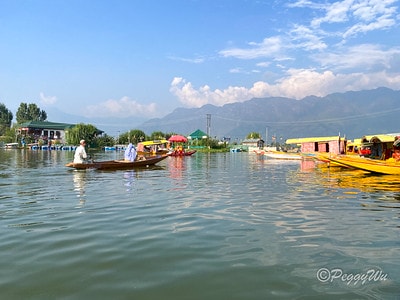 20251013-ypfs2 20251013-ypfs2