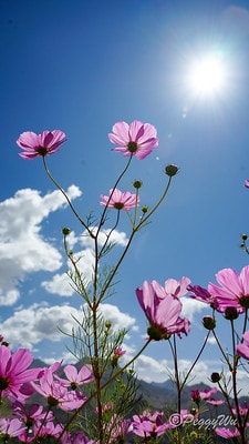 20251013-1ocy0 20251013-1ocy0