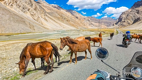 20251013-1xuqg 20251013-1xuqg