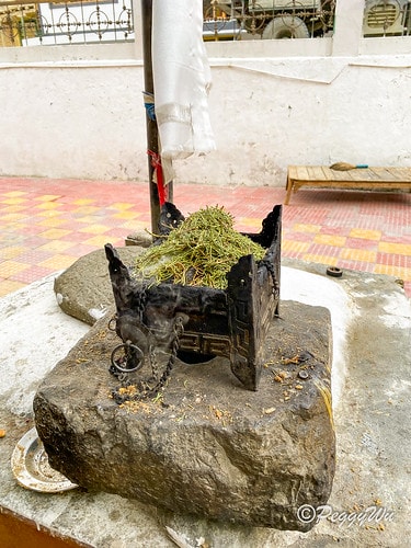 20251013-5g95r 20251013-5g95r