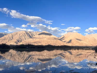 20251013-lzcnr 20251013-lzcnr