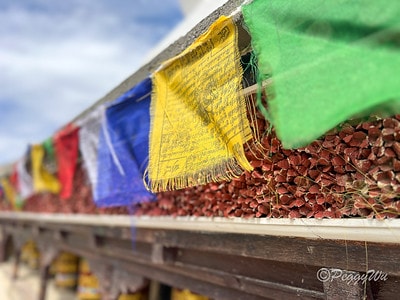 20251013-mg1dk 20251013-mg1dk