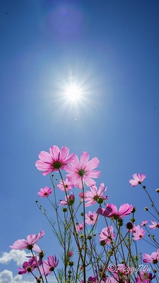 20251013-n5bdk 20251013-n5bdk