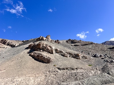 20251013-nwt4x 20251013-nwt4x