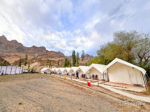 20251013-pbo8p 20251013-pbo8p