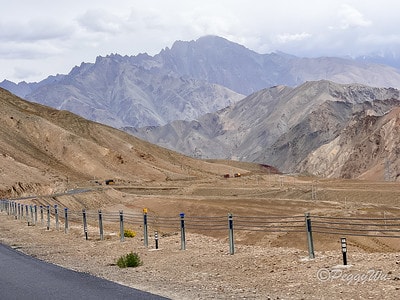 20251013-qiupq 20251013-qiupq