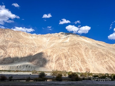 20251013-sj6fp 20251013-sj6fp