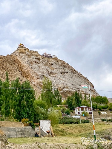 20251013-vdnvp 20251013-vdnvp