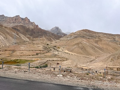 20251013-veg0b 20251013-veg0b