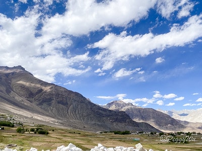 20251013-xp8fb 20251013-xp8fb