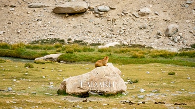 20251013-1v178 20251013-1v178