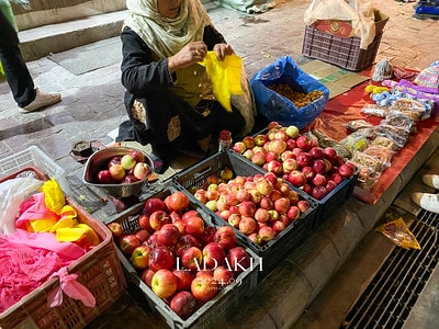 20251013-378ca 20251013-378ca