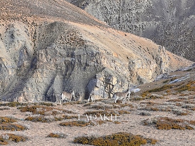 20251013-3h8eq 20251013-3h8eq