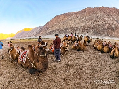 20251013-3iapp 20251013-3iapp