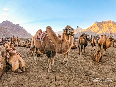 20251013-41x5o 20251013-41x5o