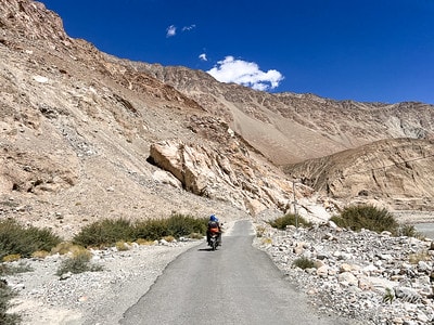 20251013-47pea 20251013-47pea