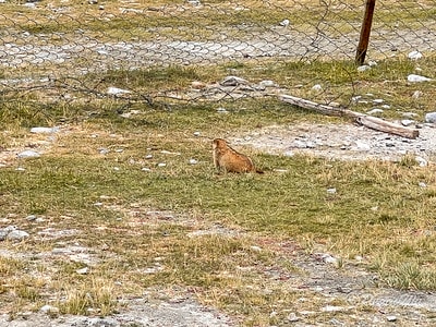 20251013-63qpi 20251013-63qpi