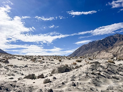 20251013-66nyt 20251013-66nyt