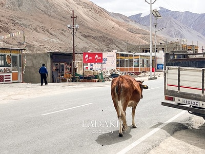 20251013-8bawc 20251013-8bawc