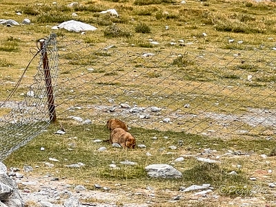 20251013-9lx1w 20251013-9lx1w